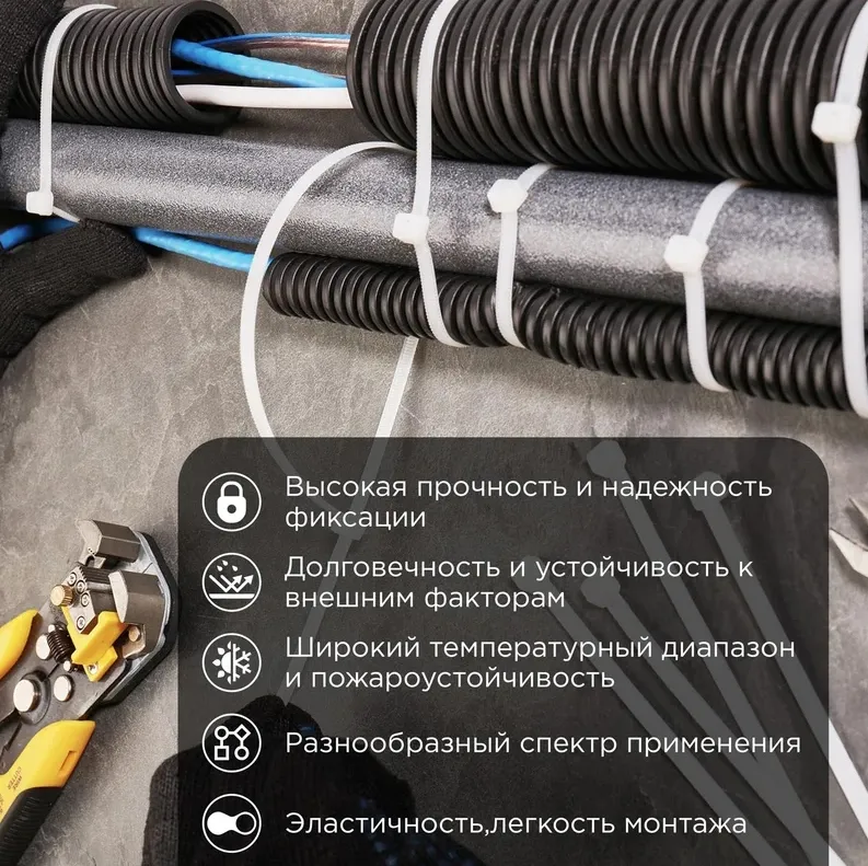 Картина продукта