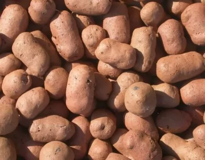 Икона товара