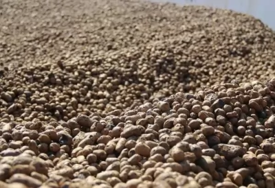 Икона товара