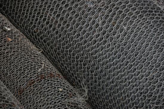 Сетка сварная в рулонах